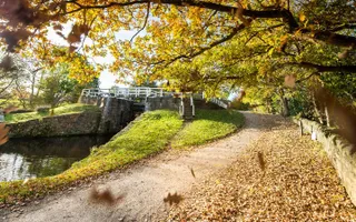 Autumn leaves falling on towpath by a lock with the sun shining