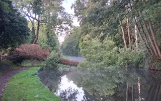 Fallen tree before Falling sands lock 4