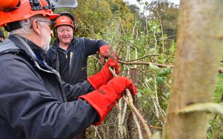 Two men wearing protective clothing handling branches and hedges