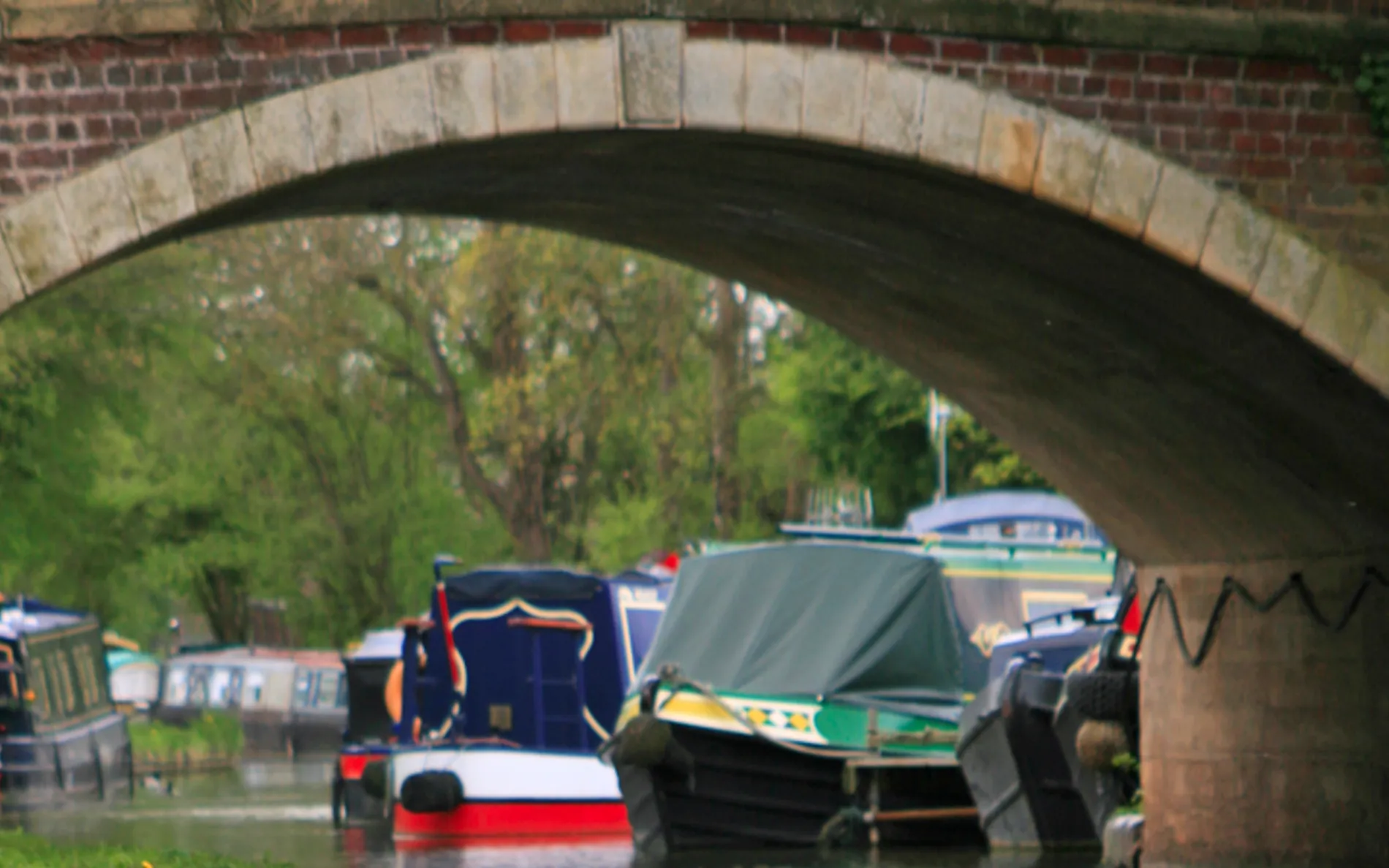 Worcester and Birmingham Canal, from the fishery's own website