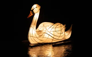 Lantern in the shape of a swan