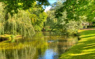 View of River Lee at Hertford Castle with ducks