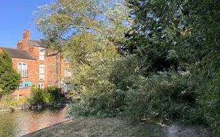 Fallen tree at Bridge 55a, Inkermans Footbridge