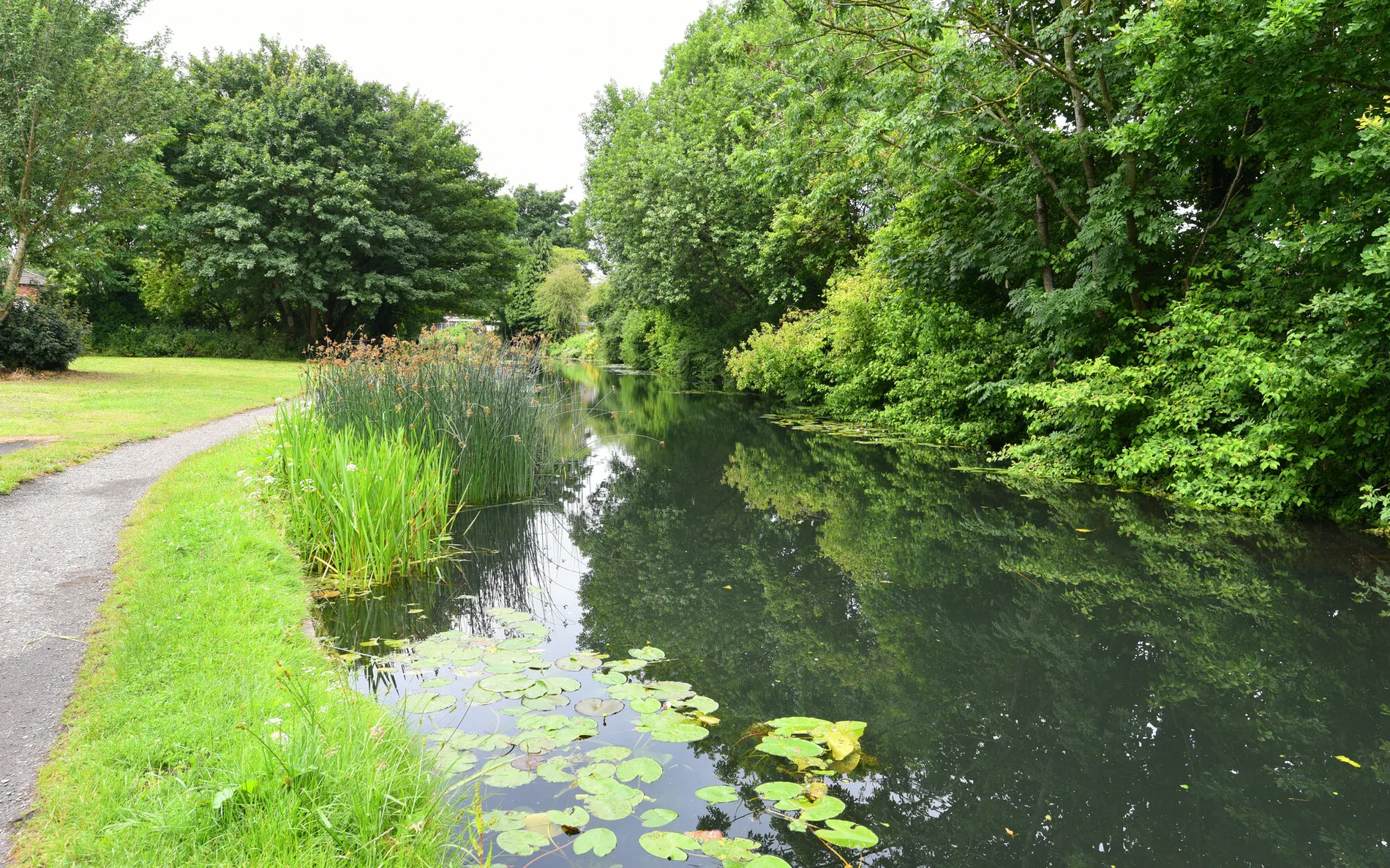 Wyrley and Essington Canal, from the fishery's own website