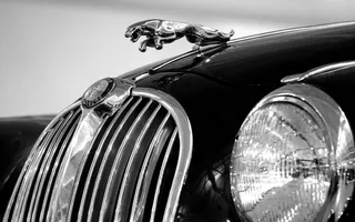 Jaguar logo