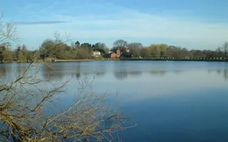 Engine Pool at Earlswood Lakes