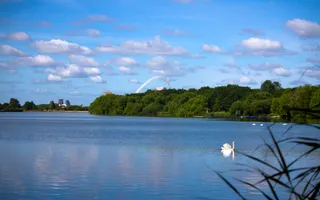 Wide shot of a reservoir with a swan swimming on the water and a football stadium in the background