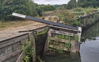 Monkey Marsh