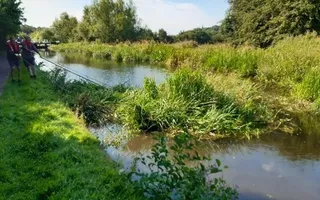 Floating reed bed Erewash Canal