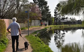 Man and dog walking along a canal on a sunny afternoon.