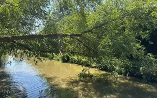 fallen tree partially obstructing the navigation