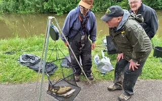 Moira Canal-Donisthorpe- Canal Pairs-06/06/2026