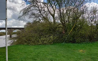 Tree blocking Woodnook lock