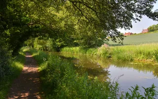 A rural canal scene, with a towpath on the left lined by vegetation on the bank and thick trees, and a farmer's field on the offside.