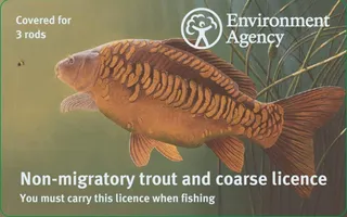 Environment Agency rod licence