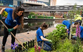 Volunteers plant wildflowers along the canal towpath