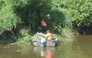 Cutting back offside vegetation