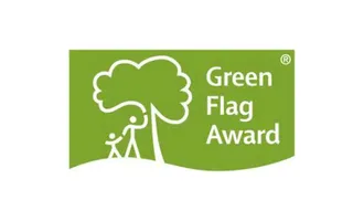 Green Flag logo white background