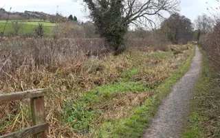 picture of a footpath with overgrown folliage