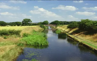 View down Cannock Extension Canal with bridge in distance