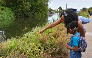 Family nature-spotting on the canal towpath