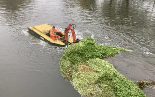 Removing floating pennywort using a weed conver boat