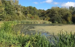 Wyrley & Essington fish pond