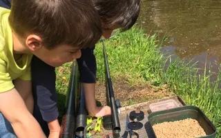 Learning to fish