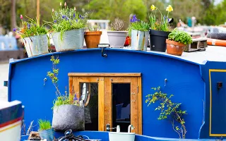 A close up of a blue painted narrowboat with potted plants on its roof
