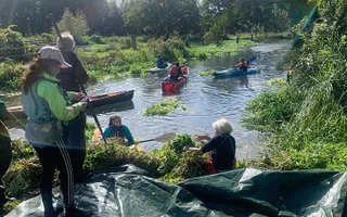 Volunteers help pick every fragment of floating pennywort. Photo credit: Jake Crone