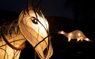 Lantern in the shape of a house and otter at night time