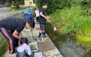 Adults and children looking at pond with nets in their hands