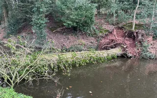 Fallen tree at Bridge 34 (Prestwood Bridge)