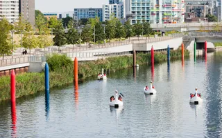 Swan peddle boats on a river on a summer day with buildings in the background