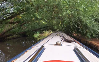 Overhanging trees on the Coventry Canal