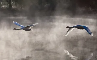 Boating in London, courtesy of Mark Reeves
