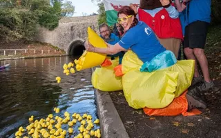 Duck race at Chirk Aqueduct
