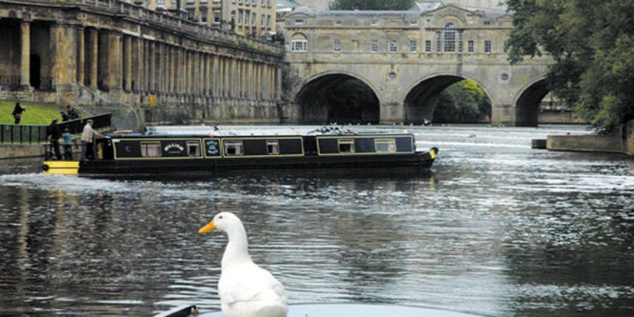 Canal in Bath with narrowboat turning and white duck in foreground