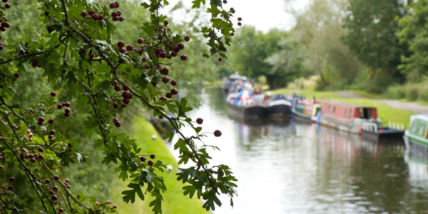 A peaceful scene at Hanwell on the Grand Union Canal