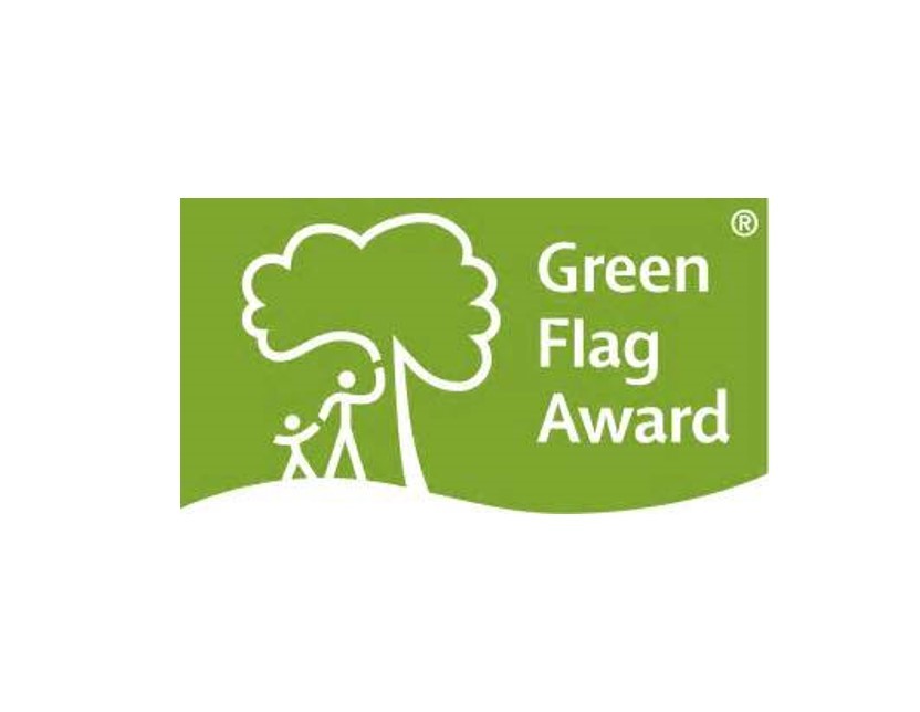 Green Flag logo white background