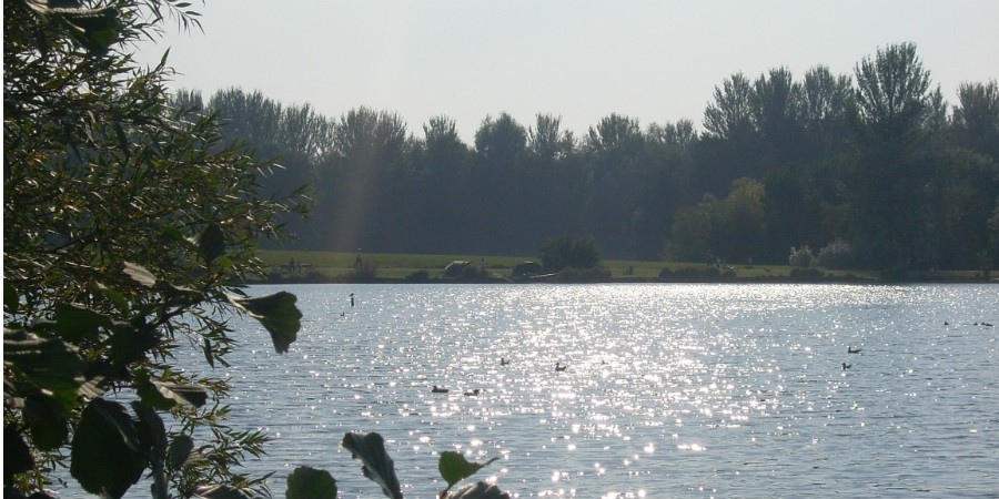 Westport Lake 3