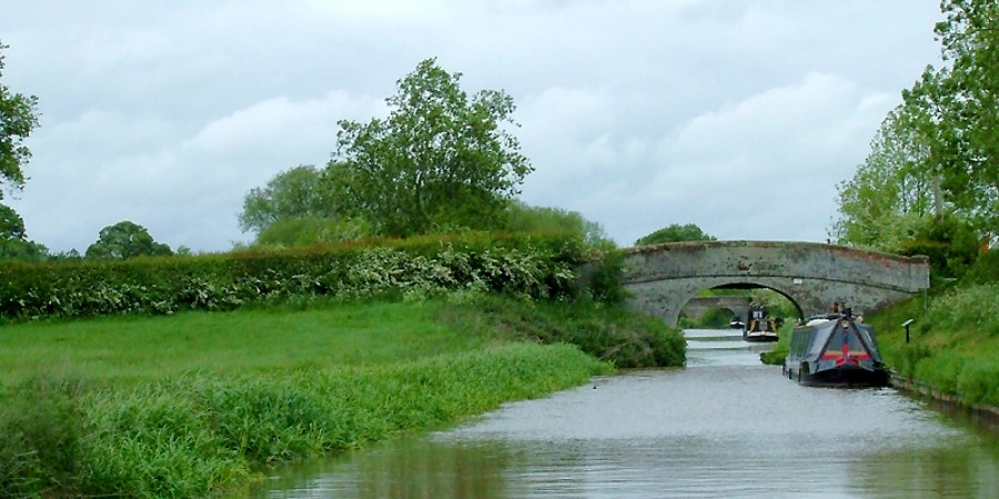 Bridge near Nantwich