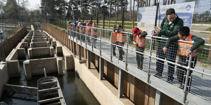 Children in high vis jackets standing over a fish pass