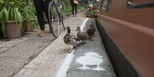 Duck lanes painted on the towpaths in London