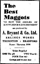 Historic maggot advert