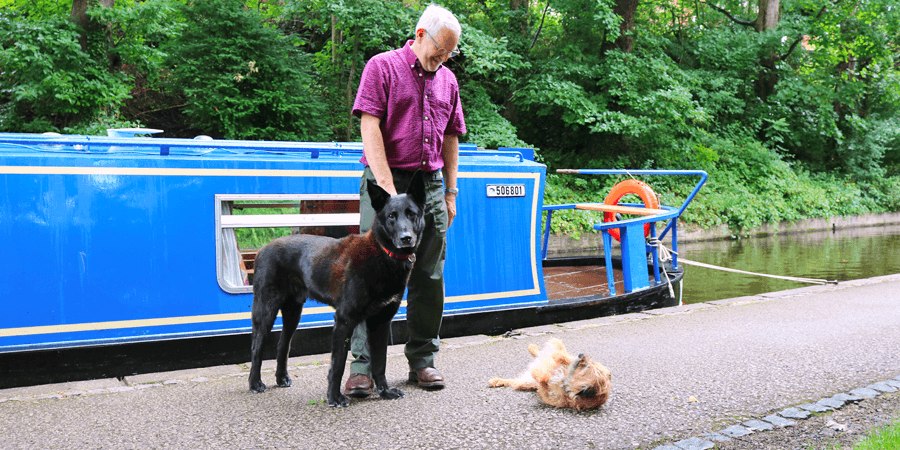 Geoff, Phantom & Bebba, dogs on the waterways