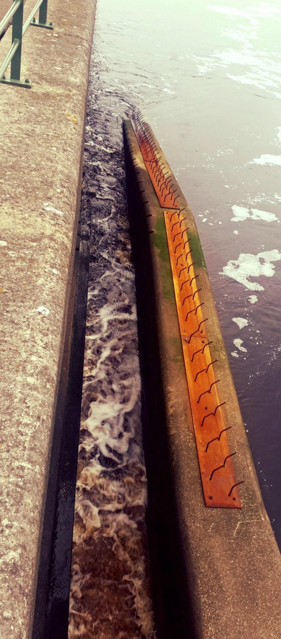 Seal deterants for the fish pass