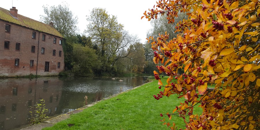 Autumn on the Pocklington Canal