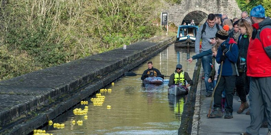 Duck race over Chirk Aqueduct