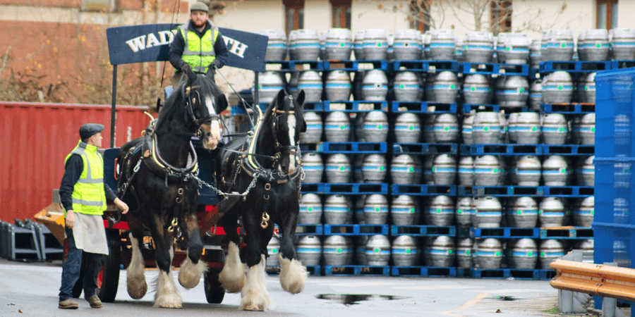 Shire horses at the brewery, near the Kennet & Avon Canal